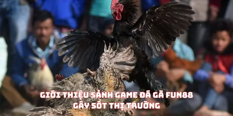Giới thiệu sảnh game đá gà FUN88 gây sốt thị trường