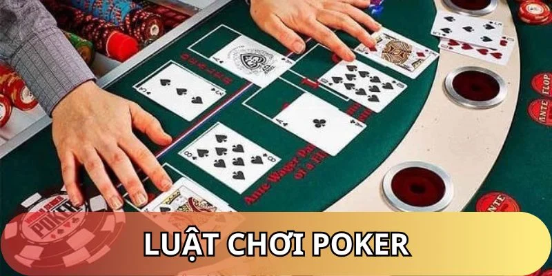 Cập nhật luật chơi Poker cơ bản cho bạn mới tham gia