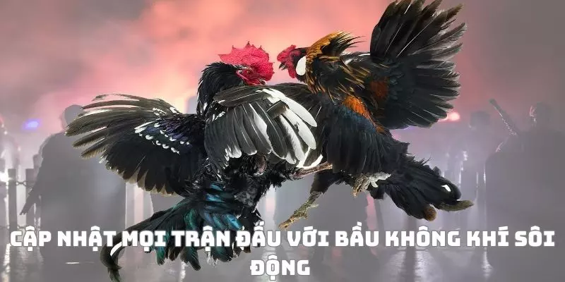 Cập nhật mọi trận đấu với bầu không khí sôi động 