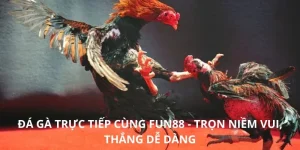 Đá Gà Trực Tiếp Cùng FUN88