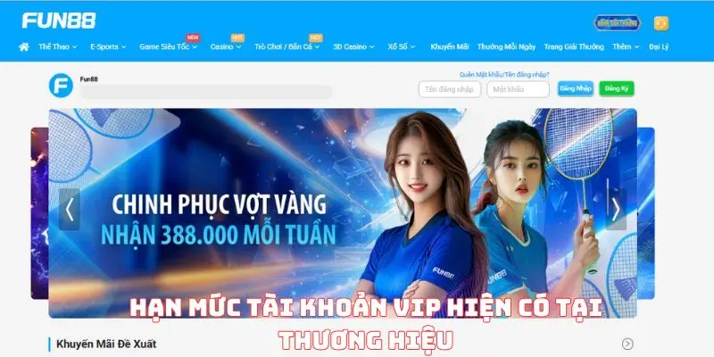 Hạn mức tài khoản VIP hiện có tại thương hiệu